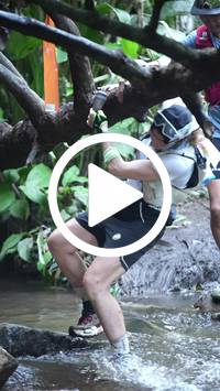 BIB:  <button type="button" onclick="openModal(27238872)" class="btn btn-primary btn-sm float-right" data-toggle="modal" data-target=".modal-high-quality">
                <i class="fa fa-download"></i> Download
                </button>